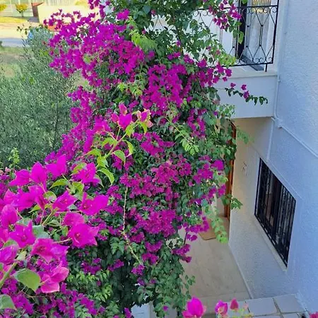 Artemis And Fillo Apartment Loutra Edipsou (Evia)